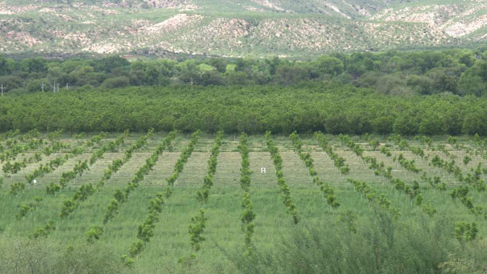 Cajeme será sede del “Primer Foro Regional de Reconversión Productiva”